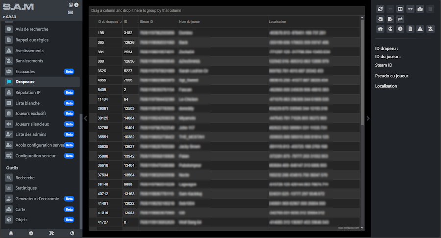 Gestion des Drapeaux